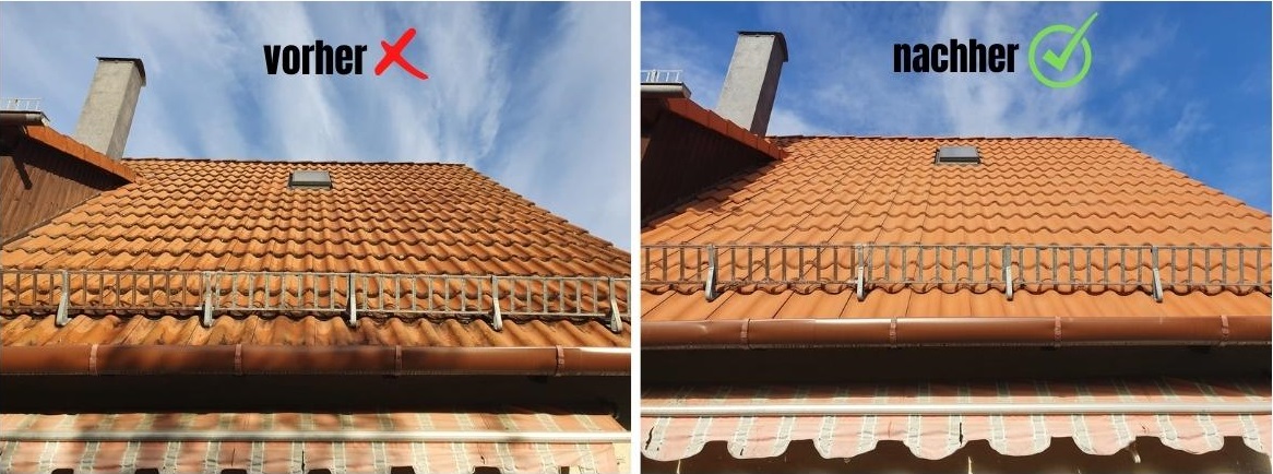 Dachreinigung-in-Stuttgart