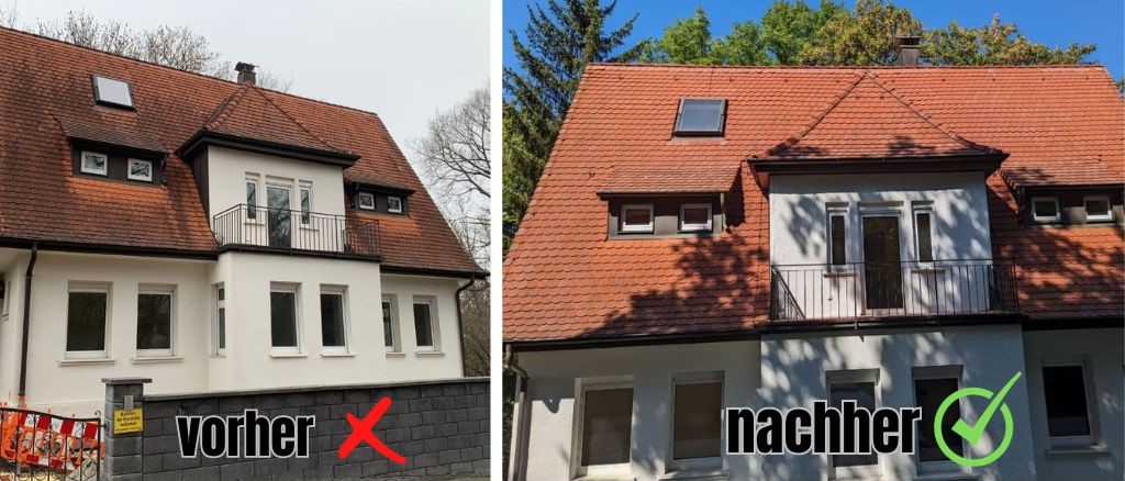 Dachreinigung Steildach